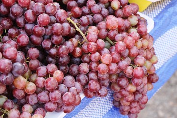 Fresh fruit grapes delicious at street food