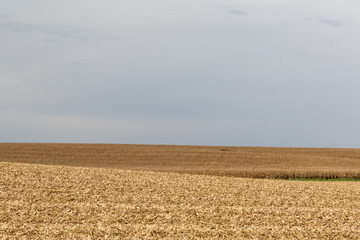Fototapeta na wymiar Plowed corn fields in rural Iowa at the end of the fall corn harvest.