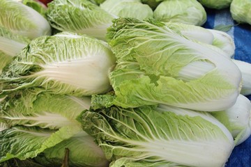 Fresh cabbage for cooking at street food
