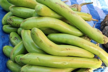 Fresh eggplant green organic at street food