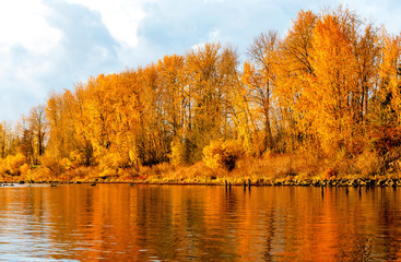 Obraz premium Landscape with yellow autumn trees and reflection in the river