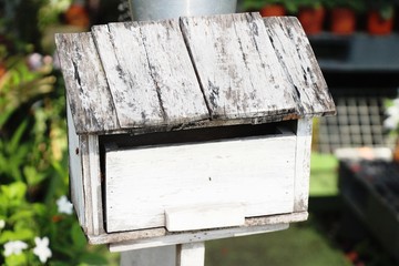 Mail box vintage style with the nature