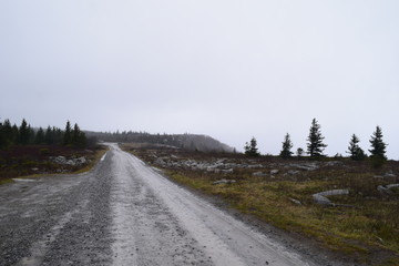 road in winter