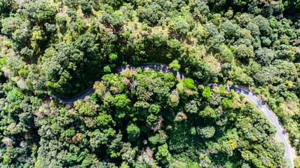 Aerial view of countryside road passing through the green forrest and mountain