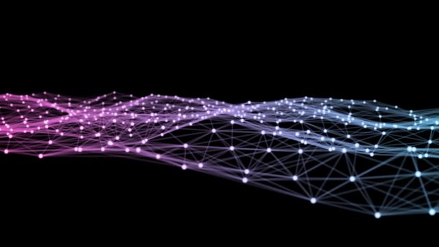 Purple Paradigm