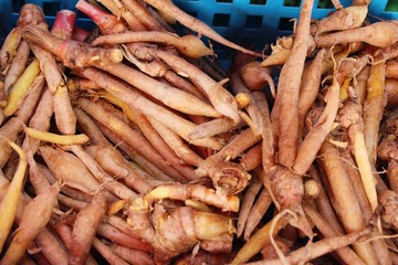 Ginger root for cooking in the market
