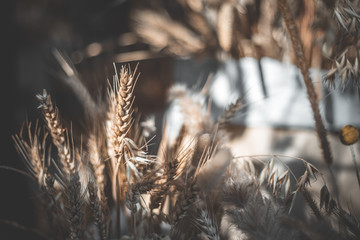 Fototapeta premium Wheat in bag background
