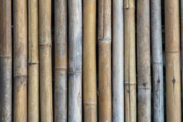 Multiple uses of bamboo including wall, fence, roof and building