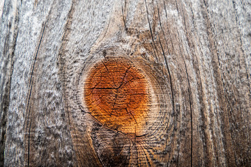 Wooden Fence Knot Hole