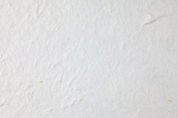 White Mulberry paper background.