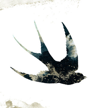 Watercolor Textured Bird - swallow / martlet composition with gold brush stroke. Unique collection for wedding invites decoration, logo and many other concept ideas.
