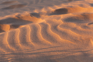 Wind waves patter on sand at sunset with long shadows