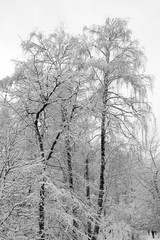 Winter Tale in Izmailovo, Moscow