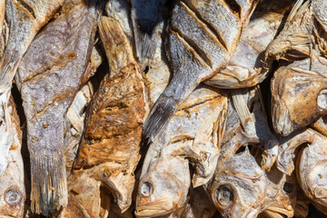 Dried on sun fish. Weligama, Sri Lanka.