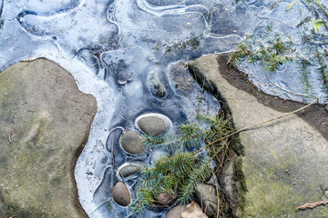 thin ice covered pond surface with rocks and falling pine branches  texture background