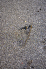 baby footprint