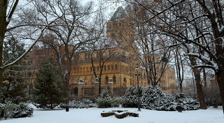 Park near the theater square in Wroclaw with a view of the SPA during the winter