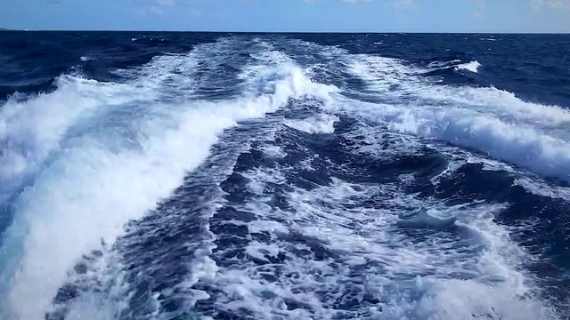 The pacific ocean and waves from behind a speeding boat