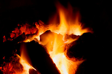 Campfire in dark night