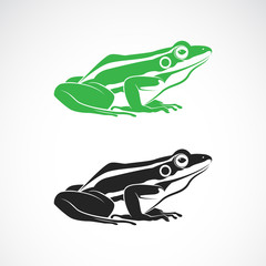 Vector of green frogs and black frog on white background. Amphibian. Animal. Frog Icon or logo. Easy editable layered vector illustration.