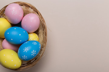 Colorfull easter eggs in nest on pastel color background with space. Concept