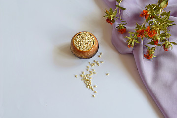 Safflower seeds and safflower stem with flowers.