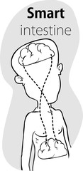 Relation of human brain and guts, second brain, image diagram - Vector