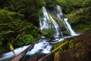 Mountain river waterfall landscape. River scene. Forest waterfall view. Waterfall forest mossy rocks. Summer forest stream view. Oregon, USA Beautiful waterfall background concept