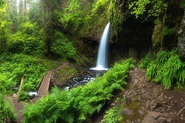 A waterfall in deep forest cascades is located in the Columbia River Gorge in Oregon Beautifull waterfall background concept