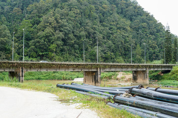 View of concrete bridge with lush green jungle in the background - image