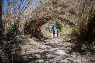 Obraz premium Father and little daughter walking on a path in a wetland