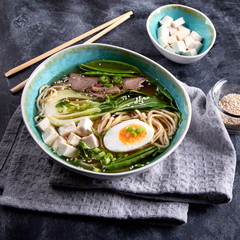 Asian noodle soup