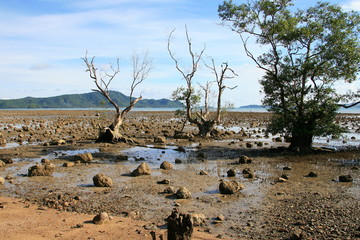 Fototapeta na wymiar seashore at low tide with bare stones