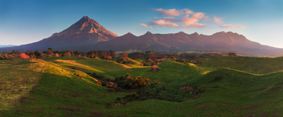 Mount Taranaki under the blue sky with grass field and cows as a foreground in the Egmont National...