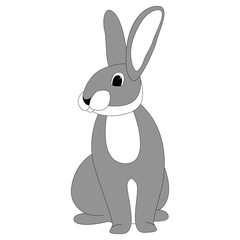 cartoon rabbit, vector illustration ,  front