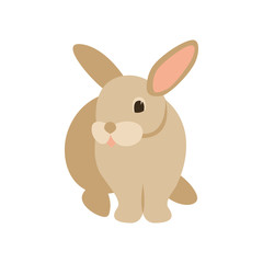 cartoon rabbit, vector illustration ,  front