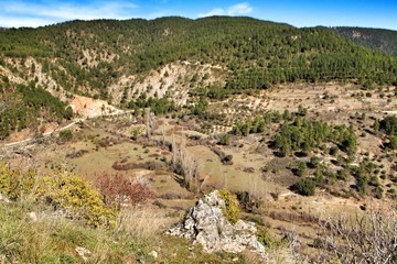 Fototapeta na wymiar Mountain landscape with green vegetation in winter