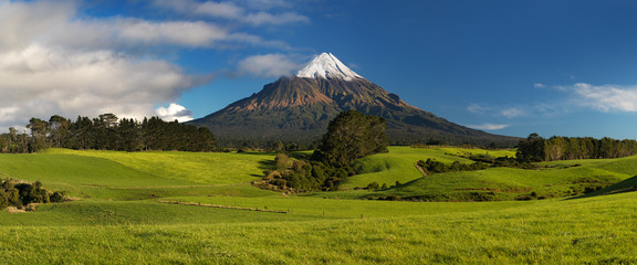 Mount Taranaki under the blue sky with grass field and cows as a foreground in the Egmont National...