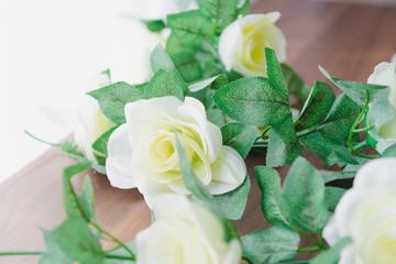 白いバラの花
