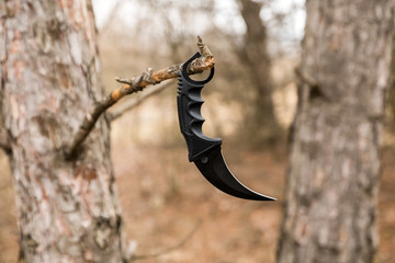 karambit knife hanging on the branch in the autumn forest
