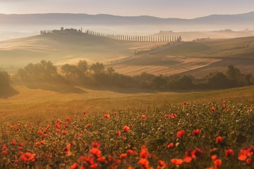 Fototapeta na wymiar Tuscany landscape at sunrise. Typical for the region tuscan farmhouse, hills, vineyard. Italy Fresh Green tuscany landscape in spring time. Beautiful foggy landscape concept