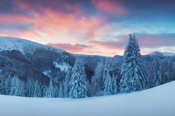 Fantastic evening or morning winter landscape. Colorful overcast sky. Beauty world Magical snow...