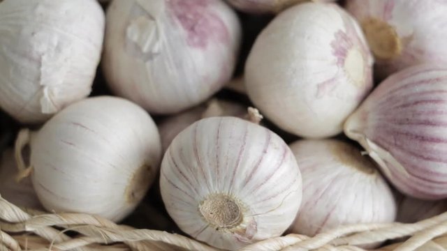 Closeup of garlic bulbs. Slow pan.