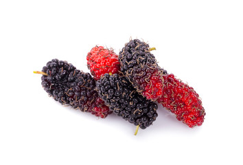Pile of organic Mulberry fruits isolated on white background.