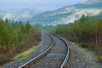 Fototapeta premium August morning on the Vorkuta-Labytnangi railway. Polar Ural, Russia