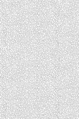 A Small peas on a white background. Seamless pattern. Design for Wallpaper, cases, bags and packaging