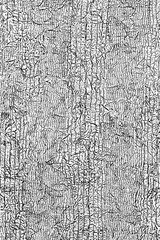 A lines in the shape of a tree bark. Seamless pattern. Design for wallpaper, covers and packaging.