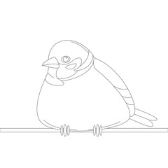 bird sparrow, vector illustration, lining draw,