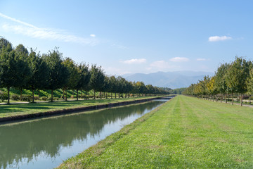 Savoy Royal Palace Garden. Turin. Italy