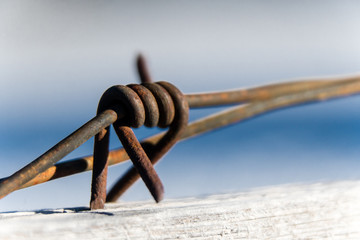Stacheldraht Detailaufnahme